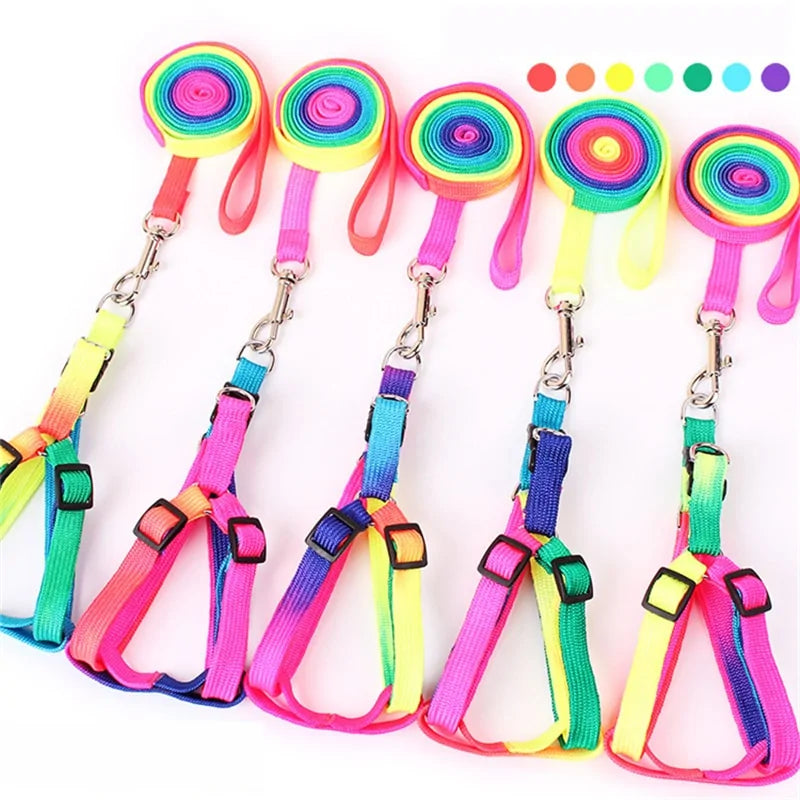 Colorful Adjustable Pet Leash