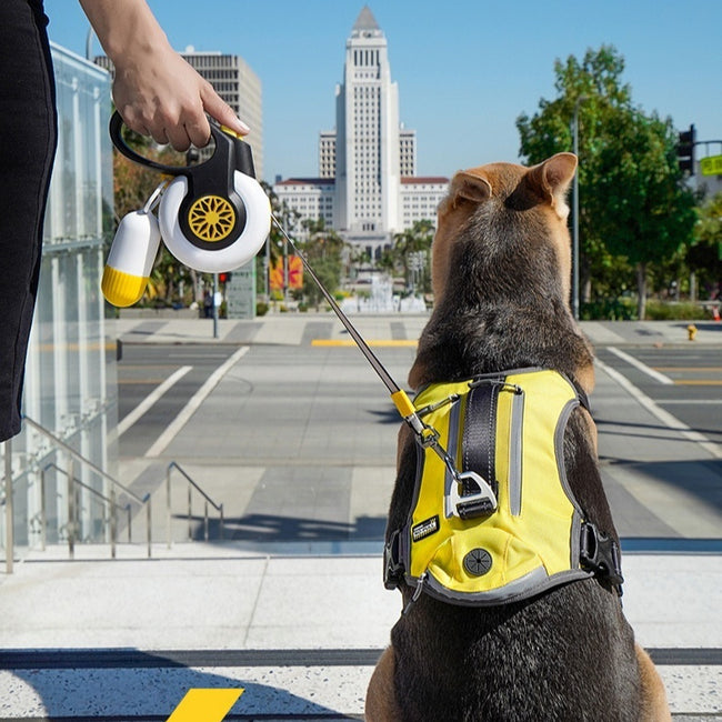 Dog Anti Pull Automatic Retractable Leash Auto Retracting Hover Image