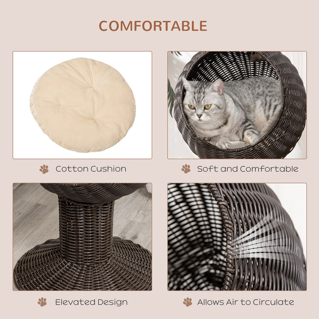 Rotating Cat Bed Pod with Cushion - Woven Egg Chair Design, Cozy Enclosed Basket for Indoor Cats Main Image