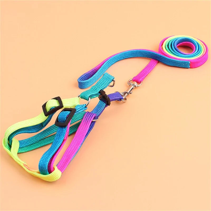 Colorful Adjustable Pet Leash