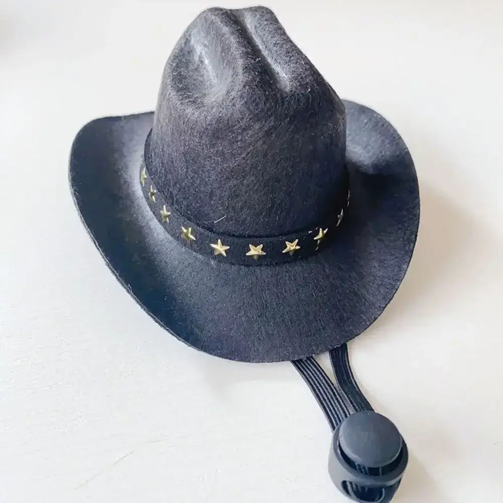 Star Cowboy Hat Pet