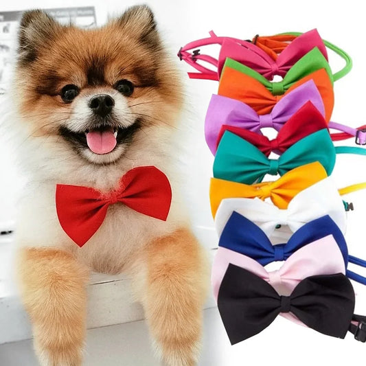 Pet Bow Tie Necklace