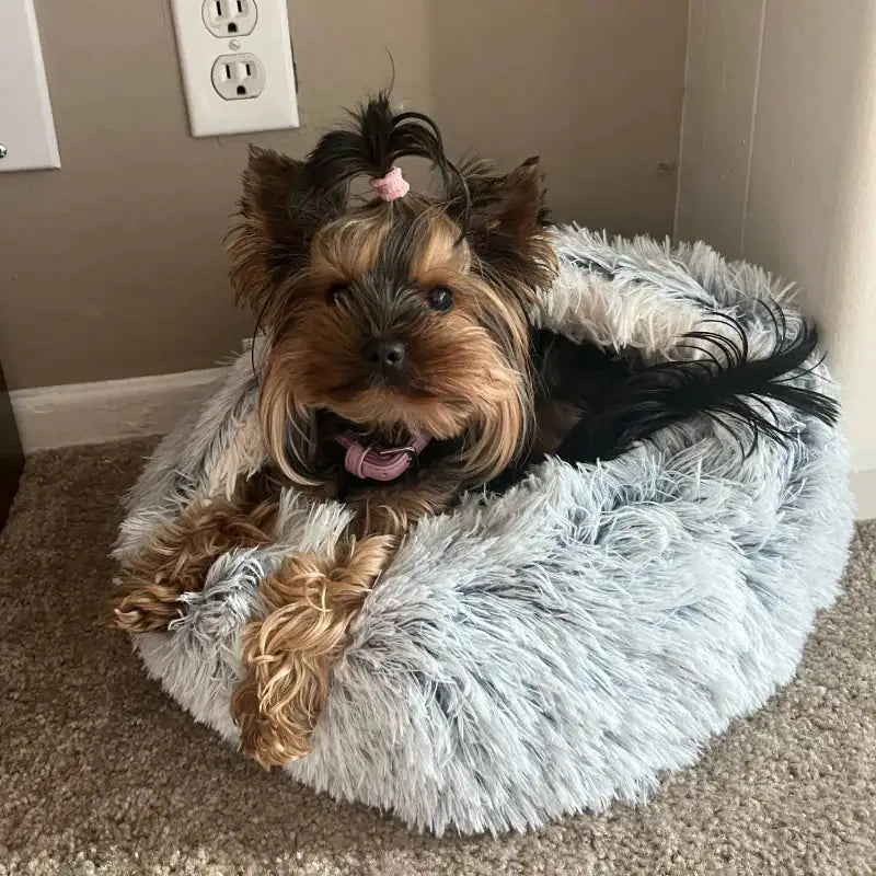 Calming Plushy Pet Bed