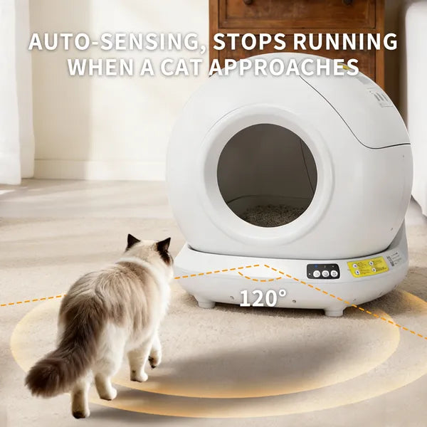 Smart Self-Cleaning Cat Litter Box with App Control – 78L Fully Enclosed Automatic Cat Toilet