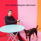 Dog Anti Pull Automatic Retractable Leash Auto Retracting