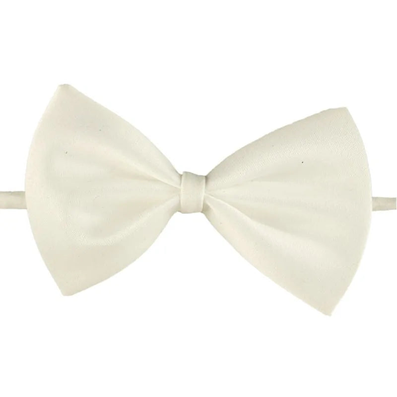 Pet Bow Tie Necklace