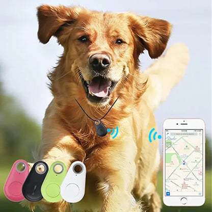 Pet Smart GPS Tracker